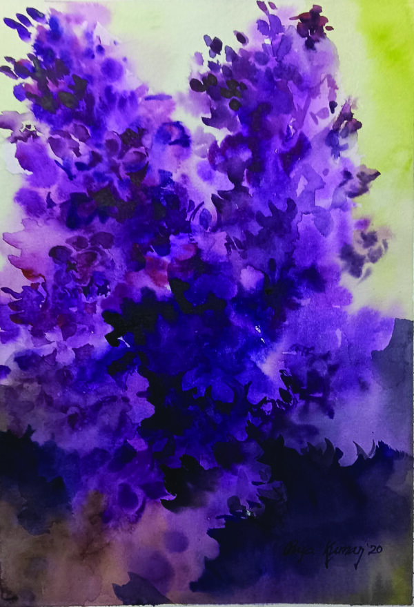 SAF-017-F