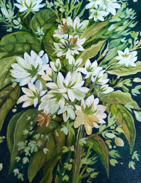 SAF-054-F